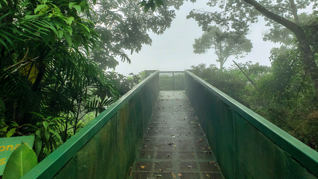 Viewing platform at Bajo del Tigre section of Children's Eternal Rainforest in Monteverde.