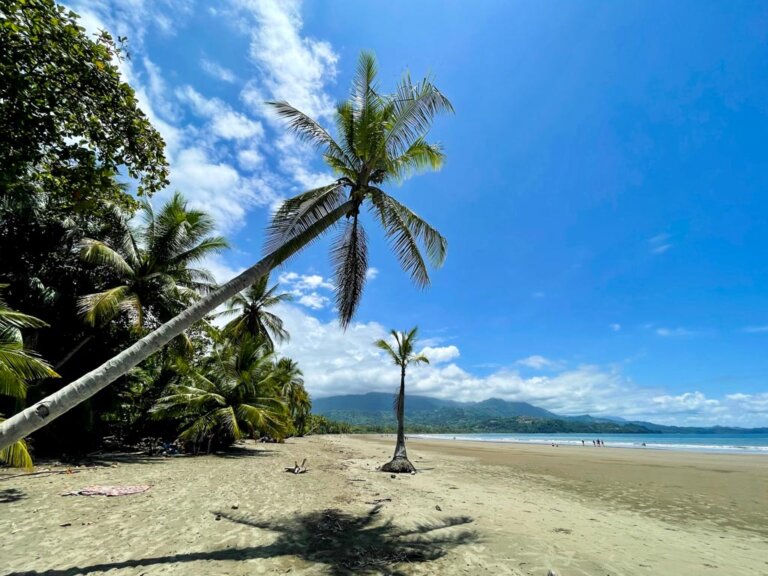 Uvita Beach: The Unique Whale's Tail Beach in Costa Rica – Paradise