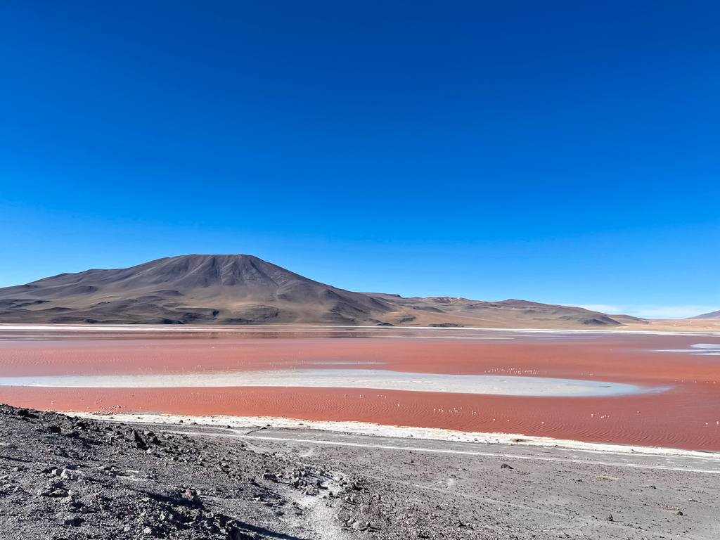 The red colored Laguna Colorada with volcano in the backdrop. Those appearing as dots in the lake are flamingos.