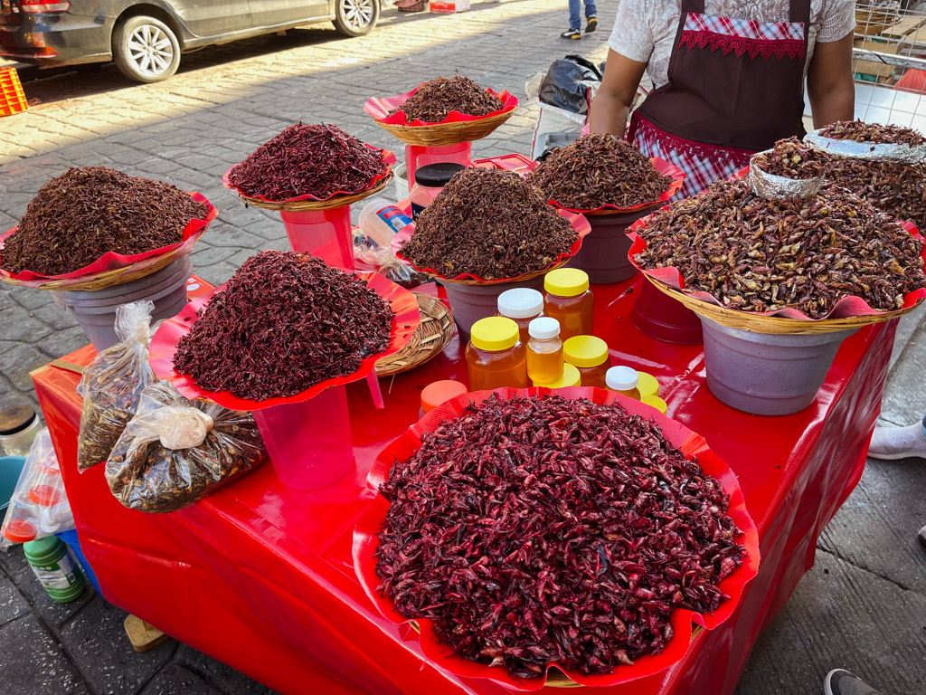 Insects as street food in Oaxaca.